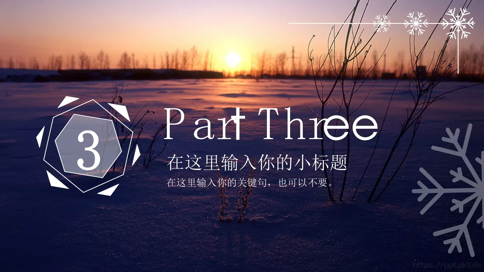 雪花风格商务汇报PPT模板 第 11 页预览图