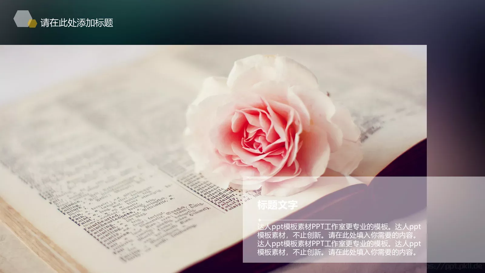 与梦偕行寻找更好的自己PPT模板 第 5 页预览图