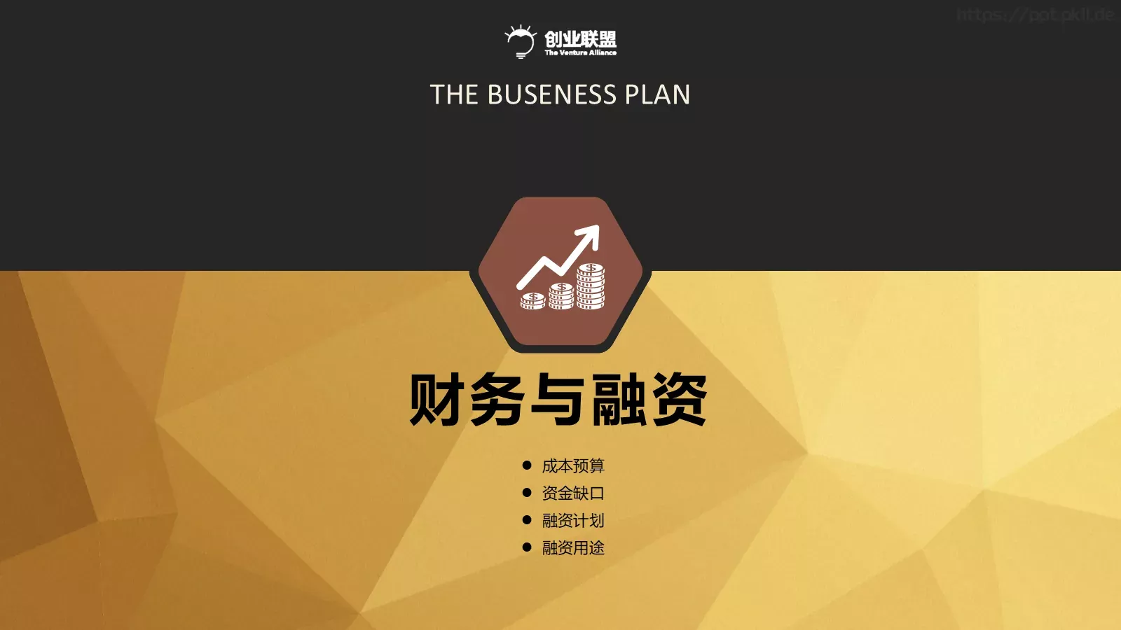 融资路演公司团队介绍PPT模板 第 29 页预览图