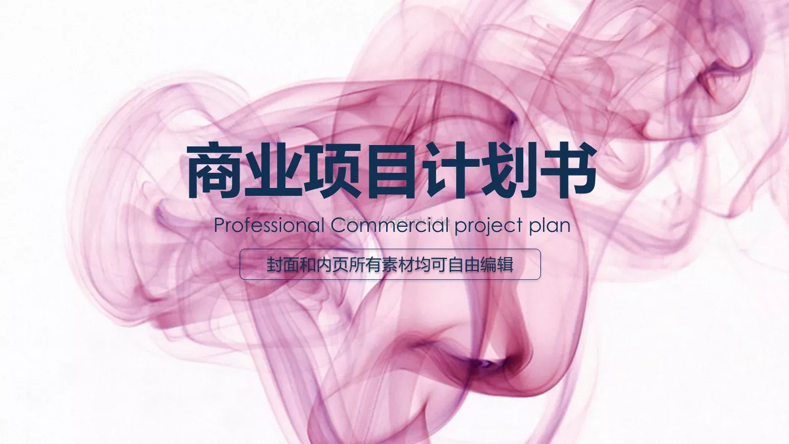商业项目计划书PPT模板 封面图