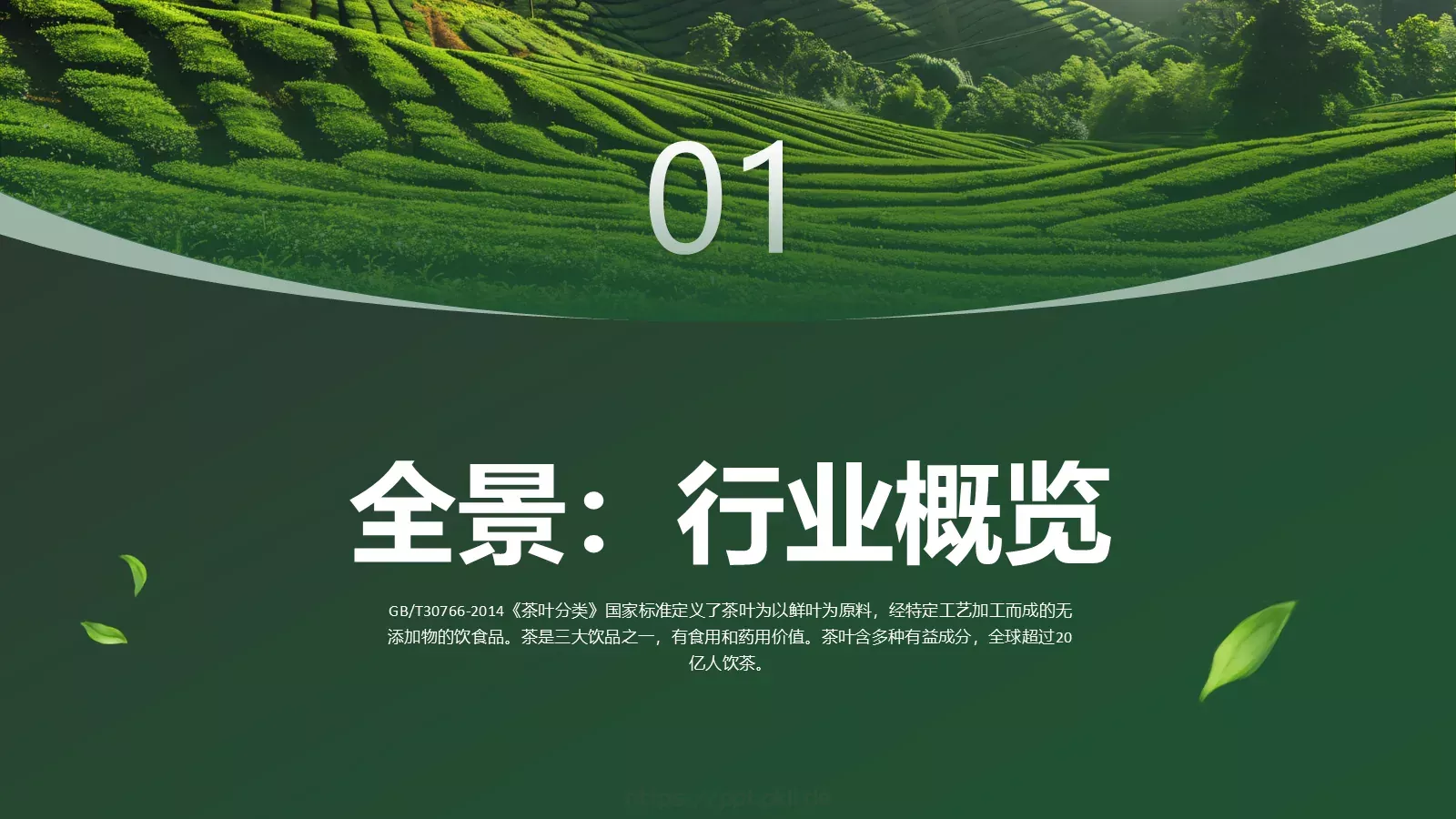 茶叶行业研究简报PPT模板 第 3 页缩略图