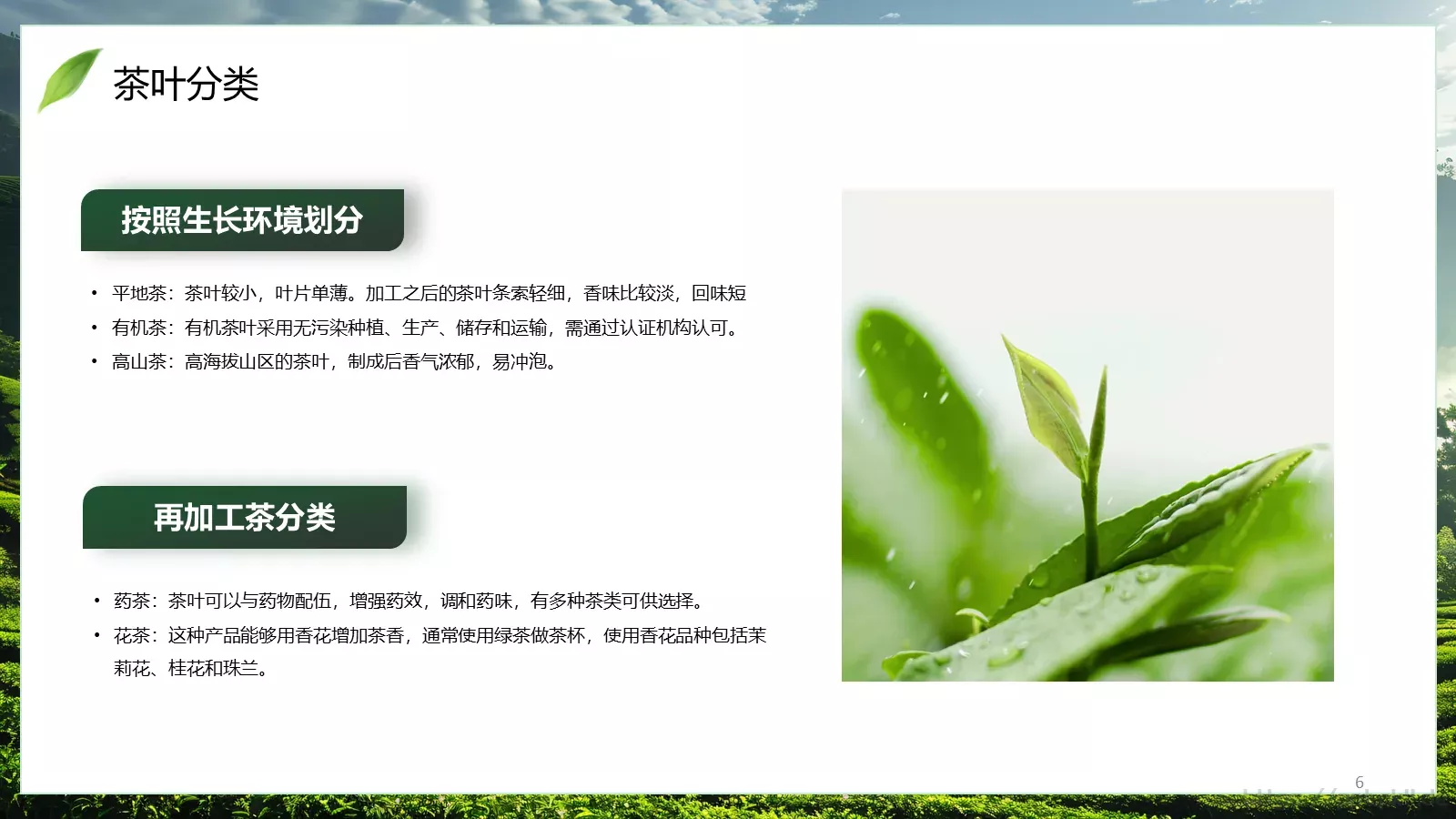 茶叶行业研究简报PPT模板 第 6 页预览图