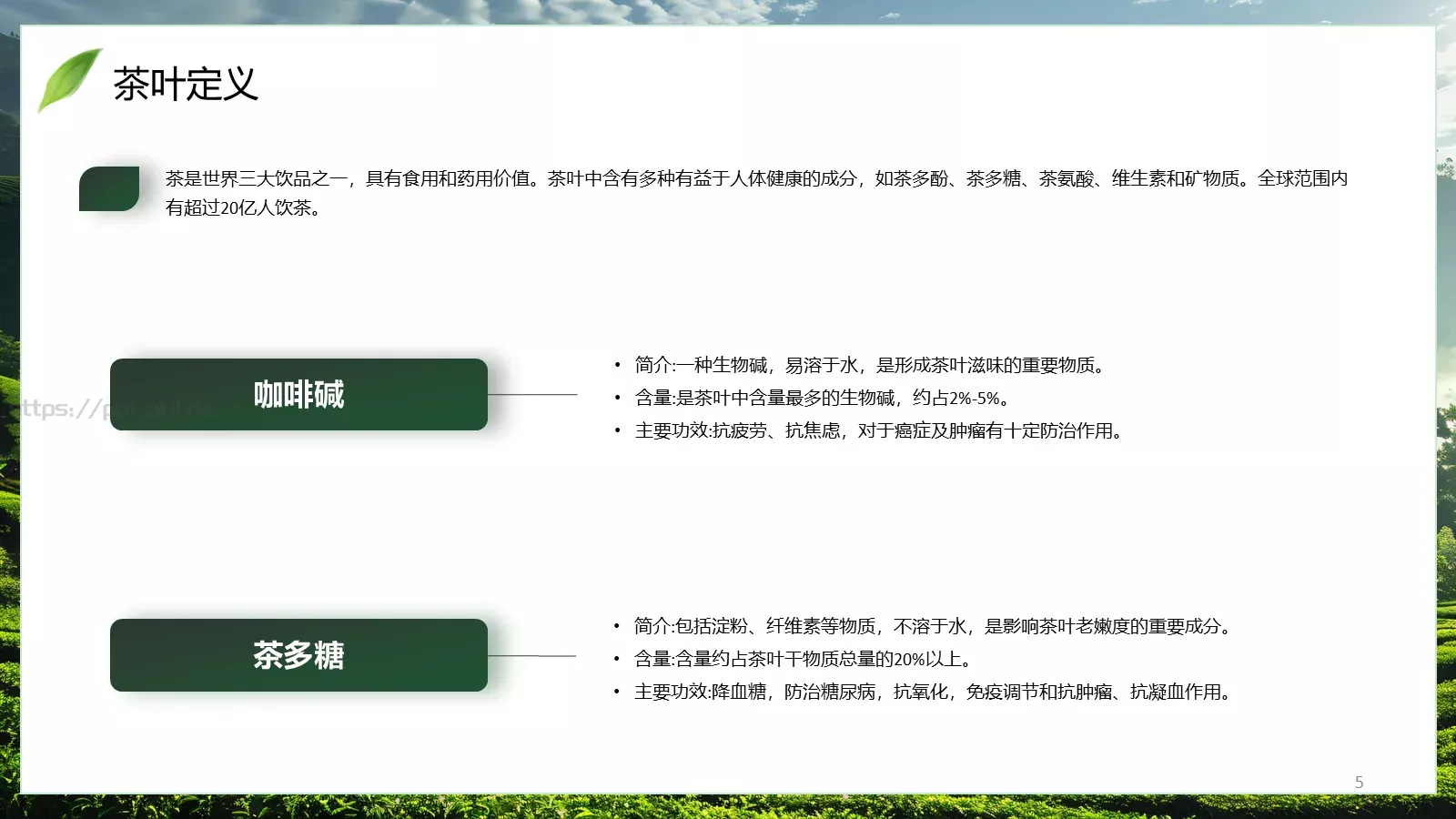 茶叶行业研究简报PPT模板 第 5 页预览图