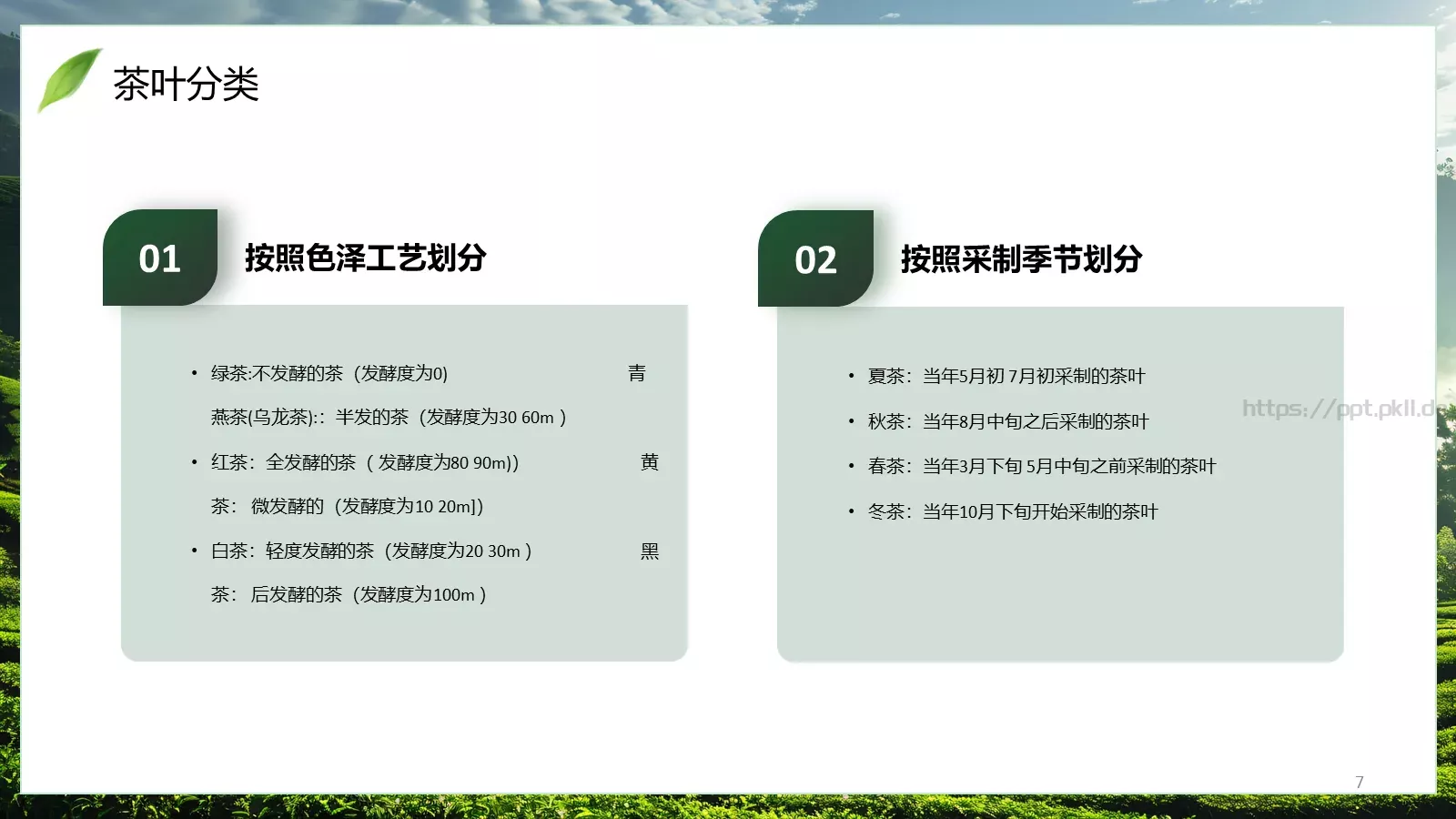 茶叶行业研究简报PPT模板 第 7 页预览图