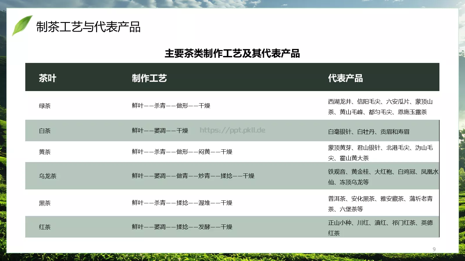 茶叶行业研究简报PPT模板 第 9 页预览图