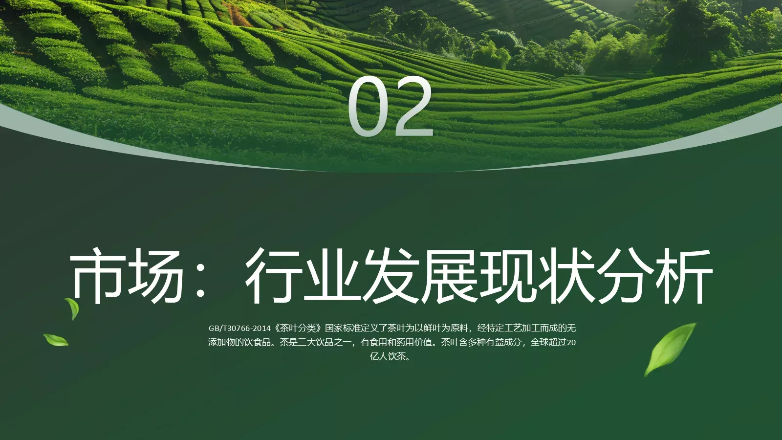 茶叶行业研究简报PPT模板 第 12 页预览图