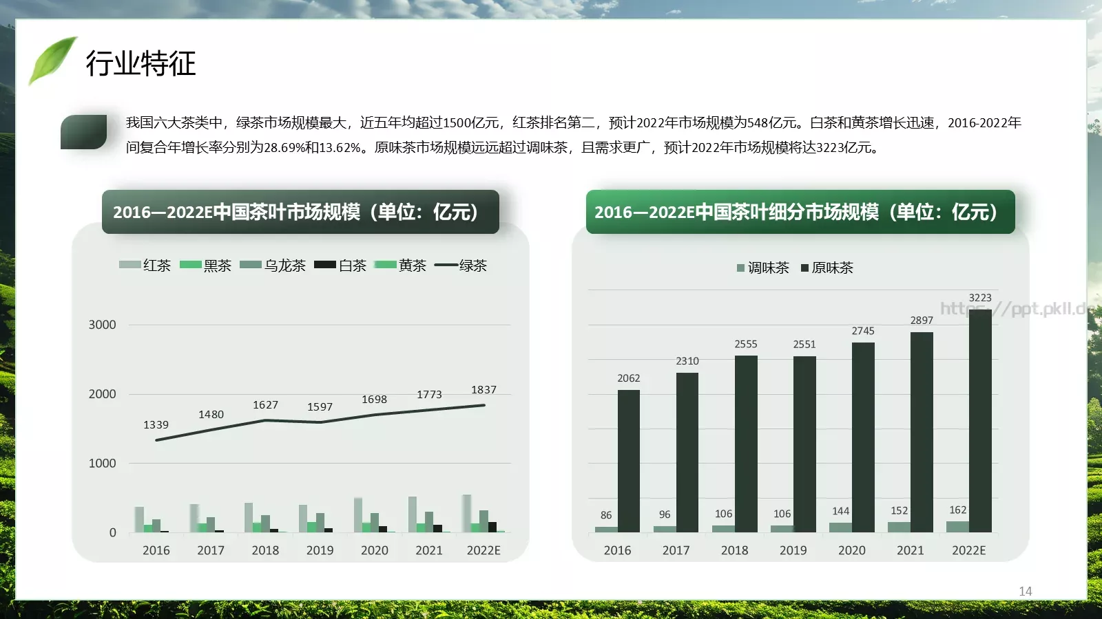 茶叶行业研究简报PPT模板 第 14 页预览图