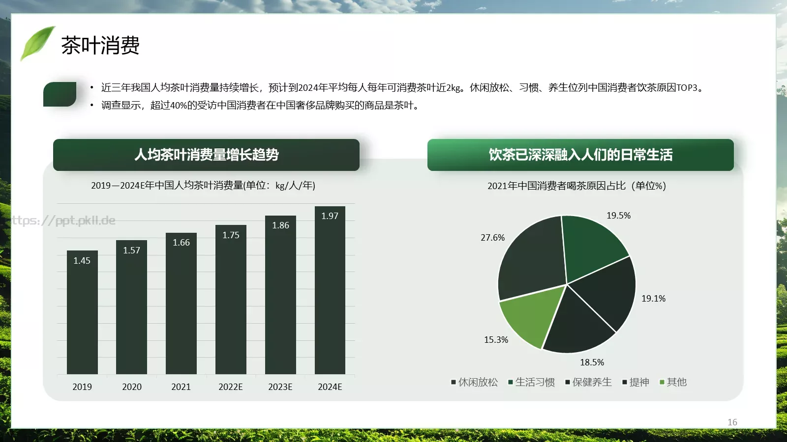 茶叶行业研究简报PPT模板 第 16 页预览图