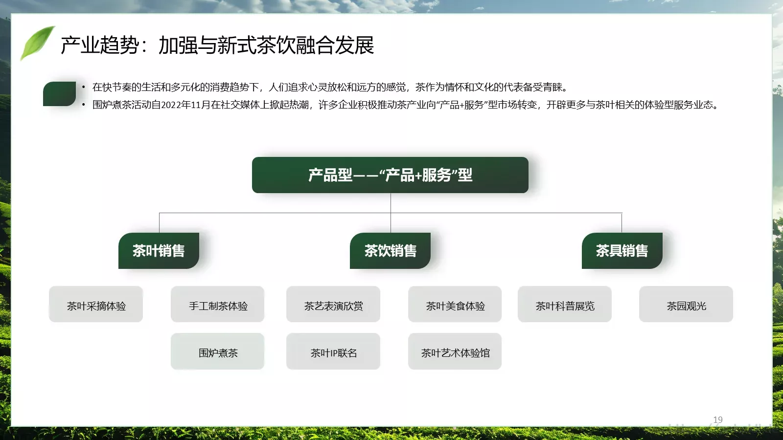 茶叶行业研究简报PPT模板 第 19 页预览图