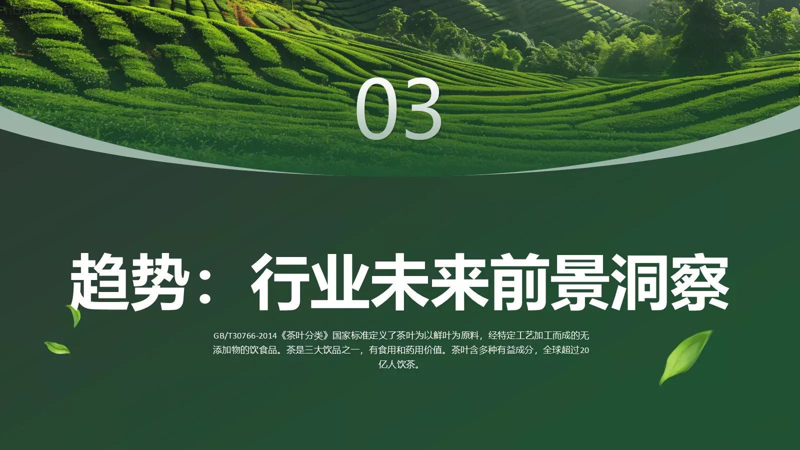 茶叶行业研究简报PPT模板 第 18 页预览图