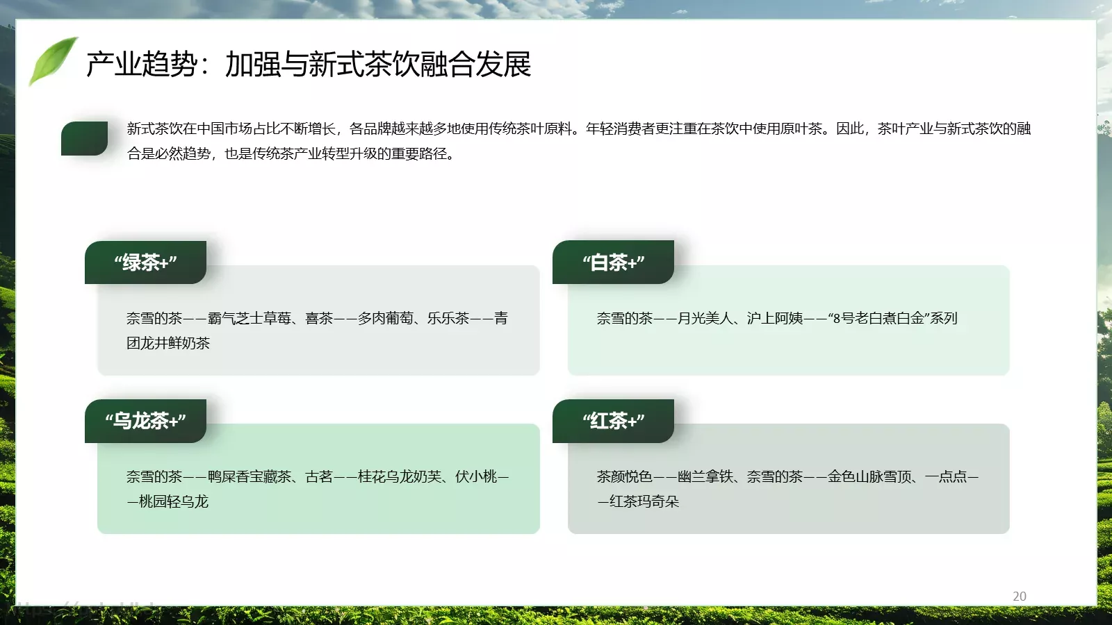 茶叶行业研究简报PPT模板 第 20 页预览图
