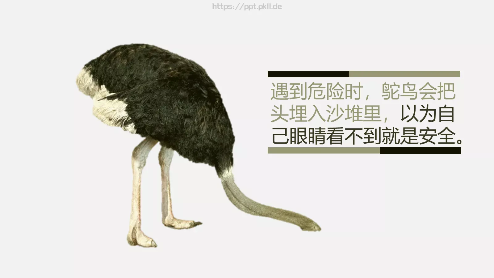 妙手回春哲理故事PPT模板 第 3 页缩略图