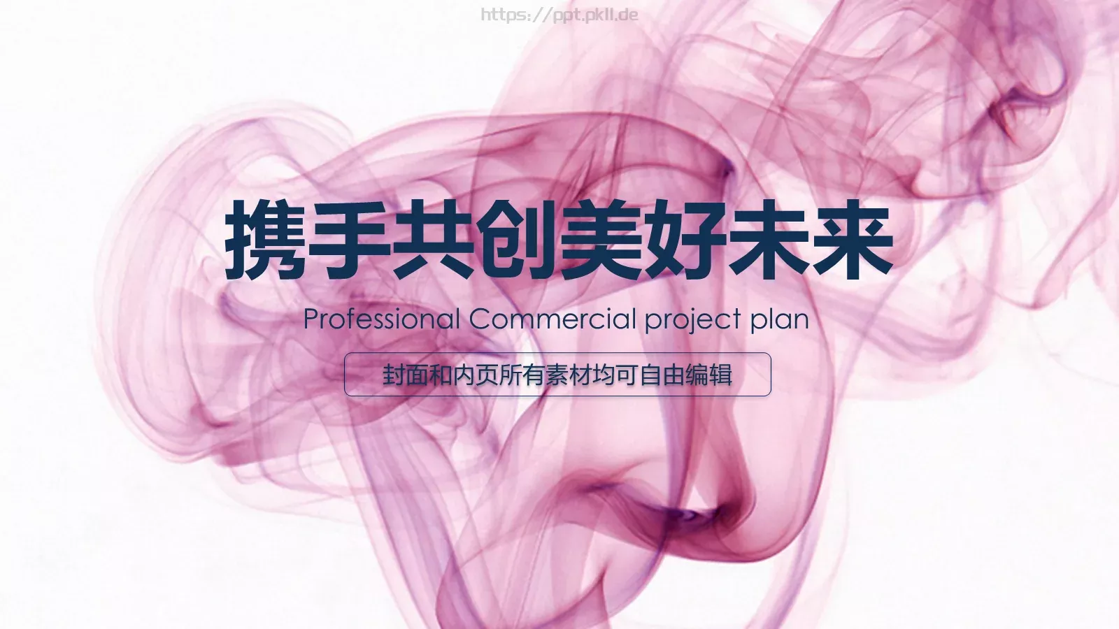 商业项目计划书PPT模板 第 22 页预览图