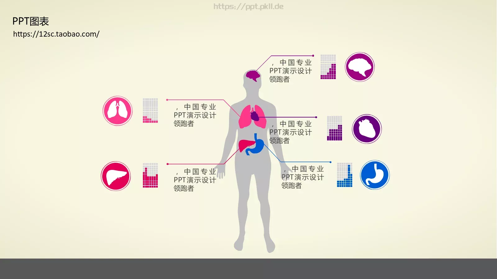技能培训PPT模板 第 23 页预览图