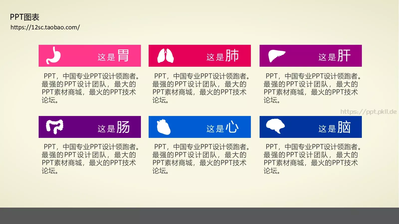 技能培训PPT模板 第 21 页预览图