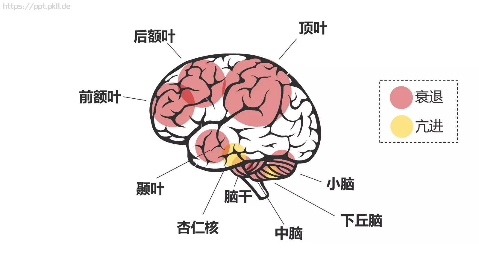 《僵尸玩过界》读书笔记PPT模板 第 20 页预览图