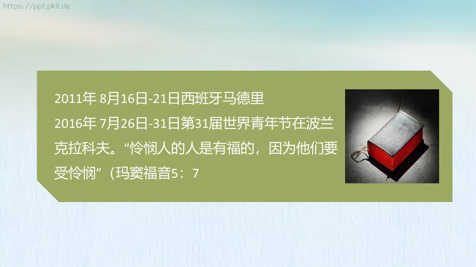 节日庆典PPT模板 第 24 页预览图