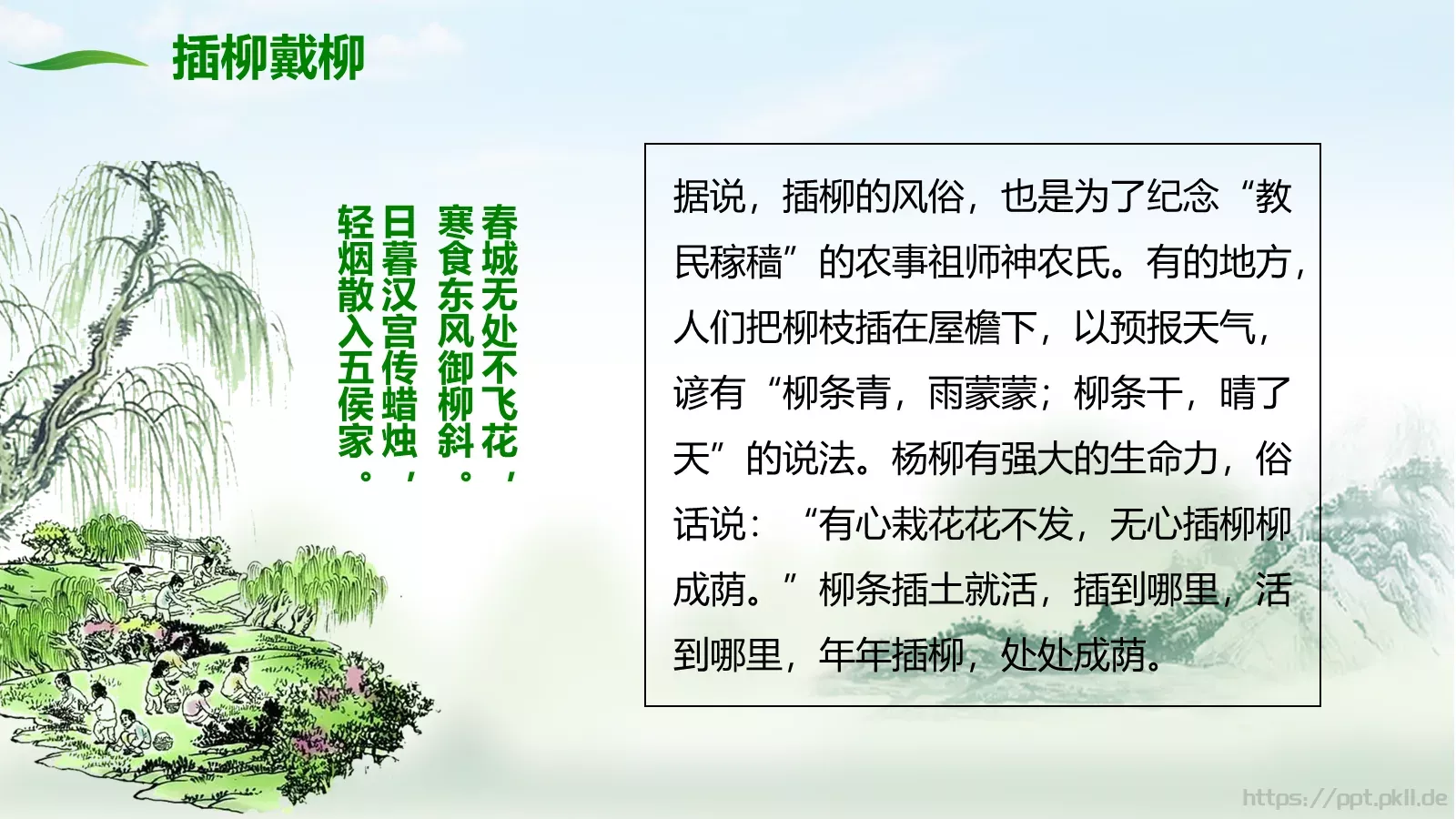 清明节50成品PPT模板 第 14 页预览图