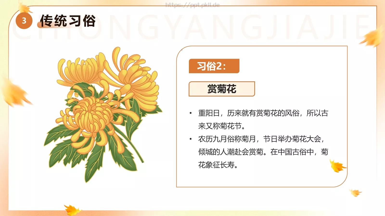 重阳节主题班会PPT模板 第 14 页预览图