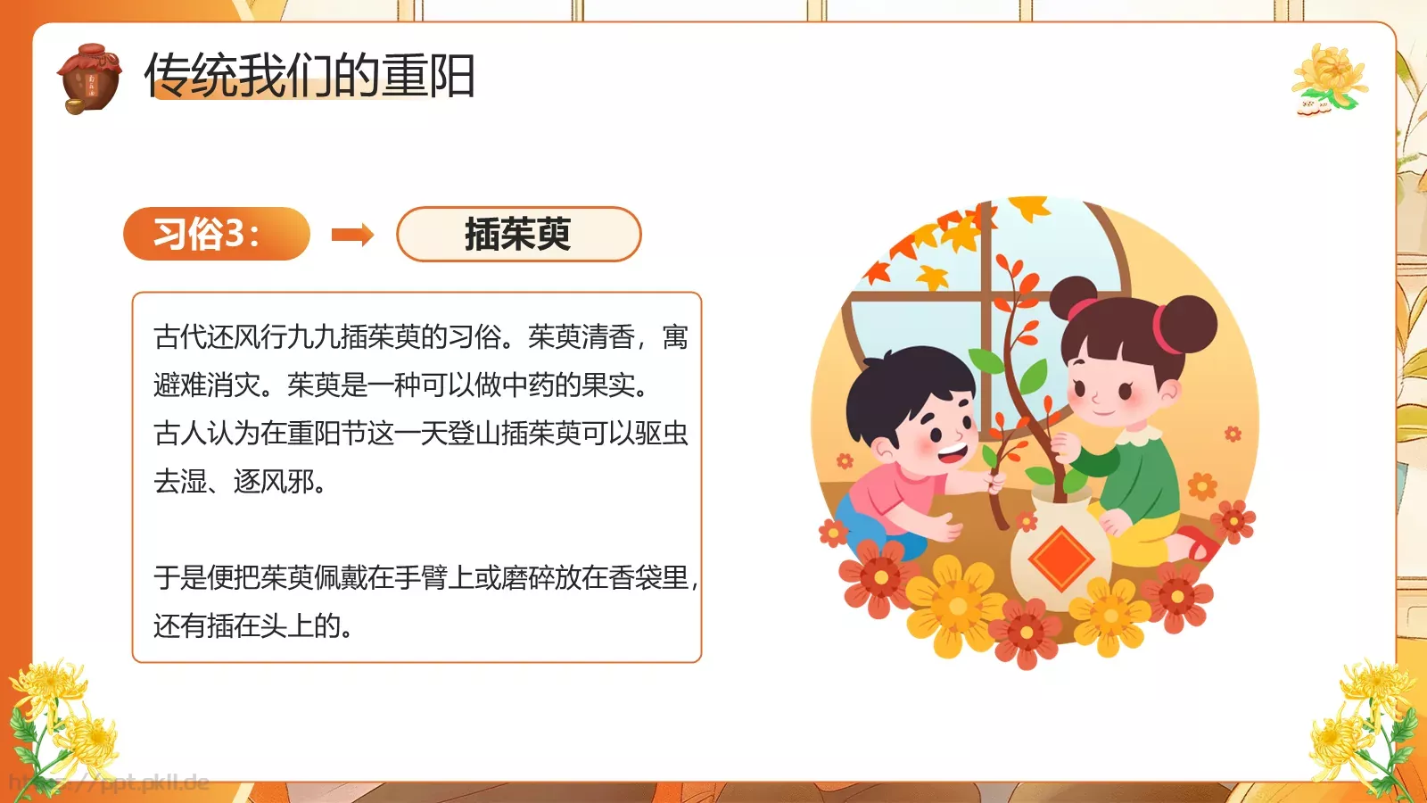 重阳节介绍PPT模板 第 9 页预览图