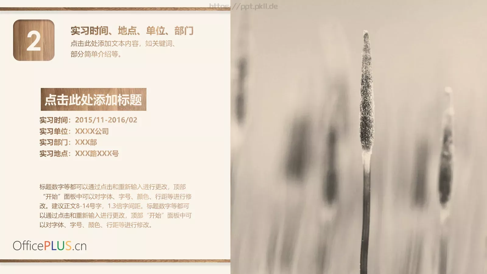 毕业实习报告PPT模板 第 4 页缩略图