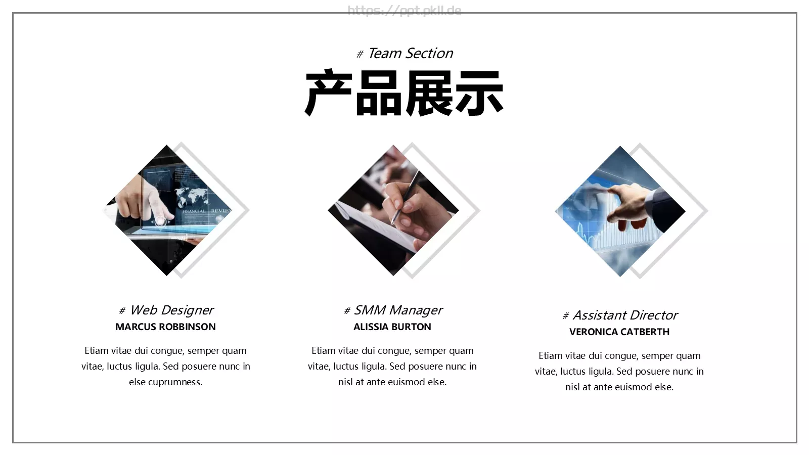 商业融资计划书PPT模板 第 11 页预览图