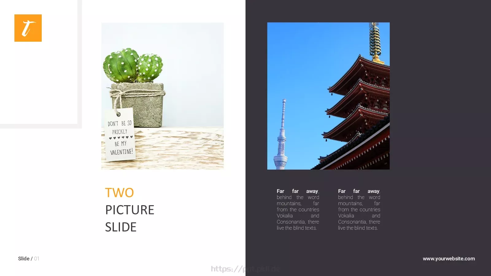 欧美极简大气通用PPT模板 第 9 页预览图
