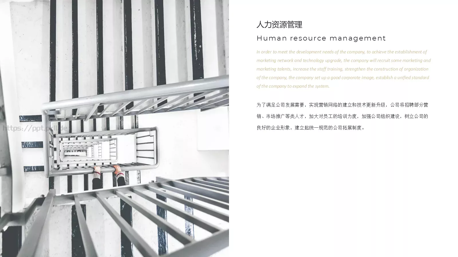 企业商业计划书PPT模板 第 7 页预览图