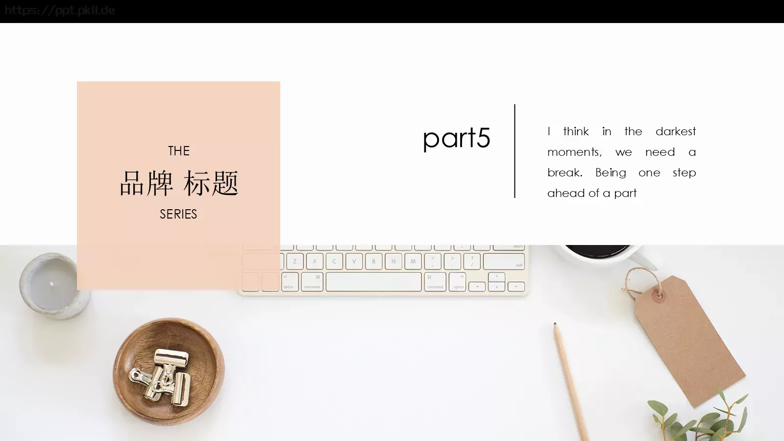 欧美极简大气通用PPT模板 第 25 页预览图