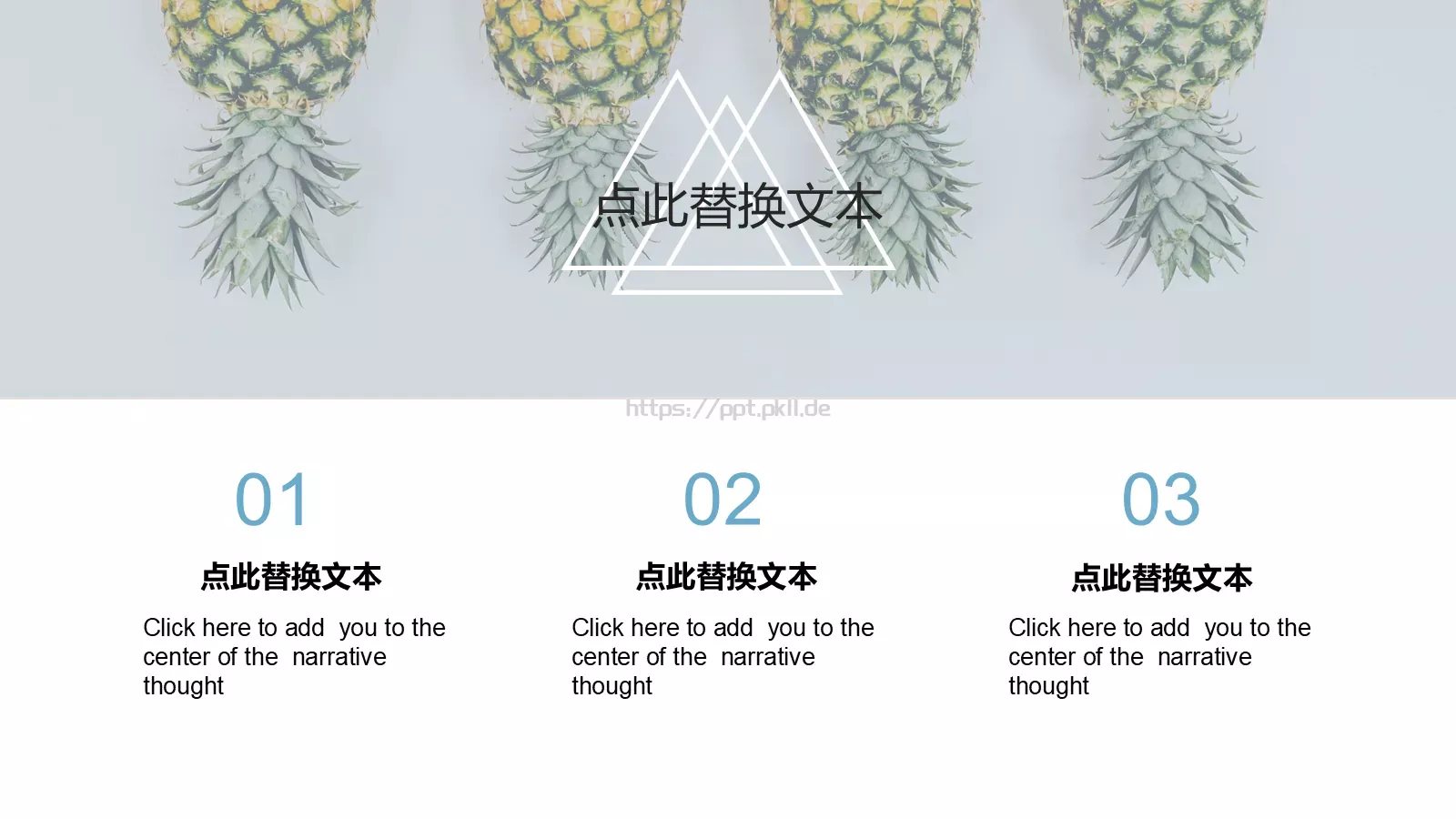 欧美极简大气商务汇报PPT模板 第 13 页预览图