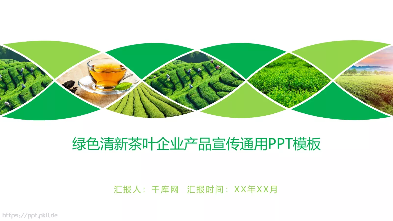茶文化介绍PPT模板 第 1 页缩略图