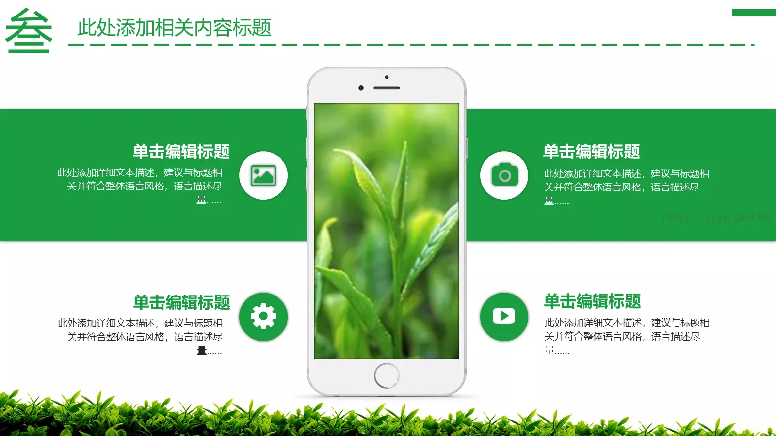 茶文化主题介绍PPT模板 第 16 页预览图