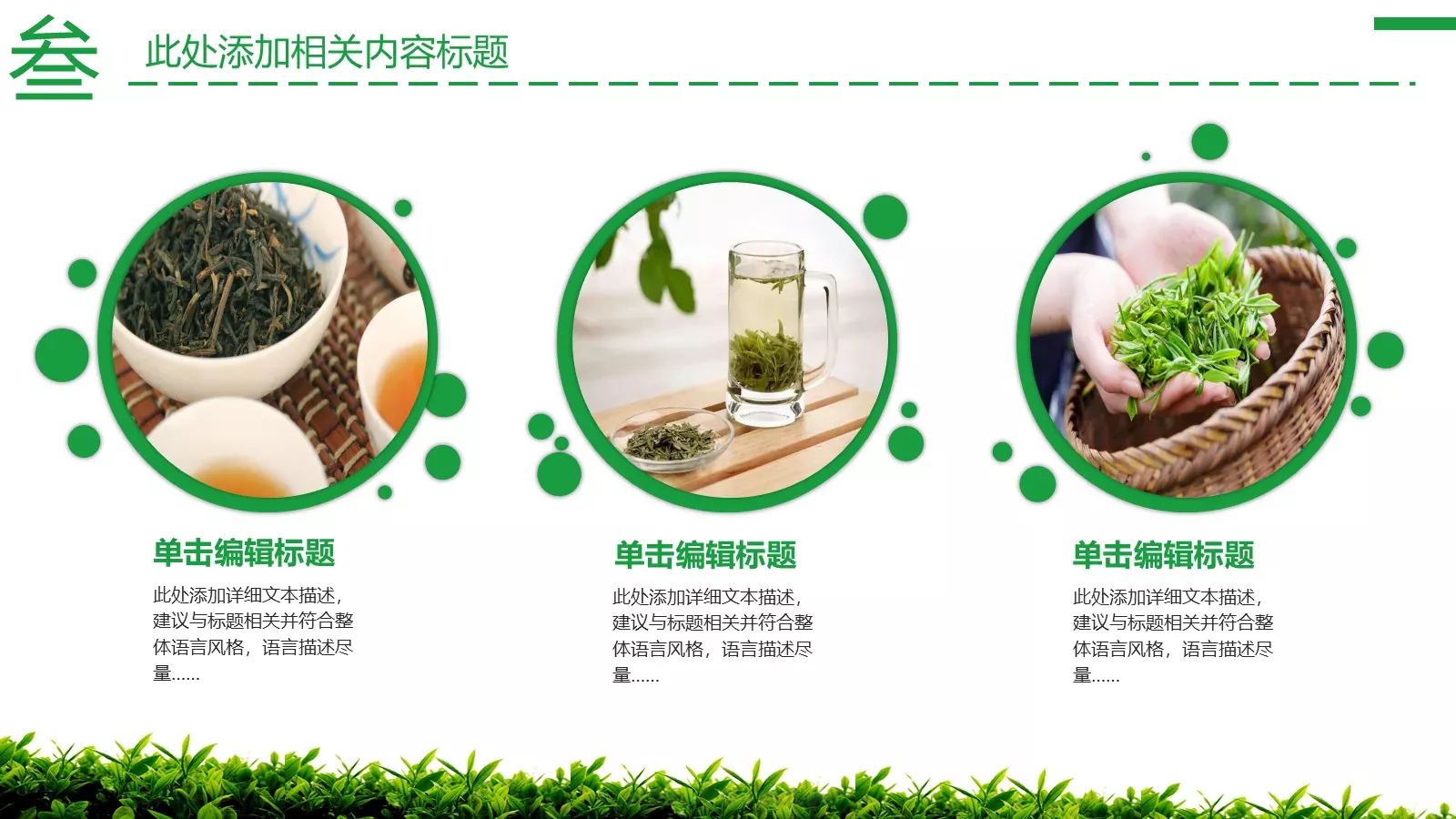 茶文化主题介绍PPT模板 第 20 页预览图