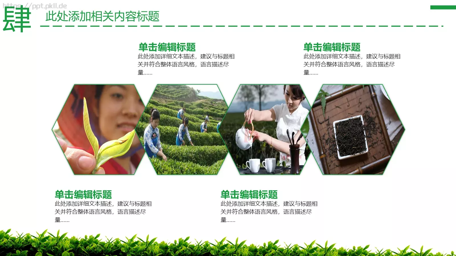 茶文化主题介绍PPT模板 第 26 页预览图