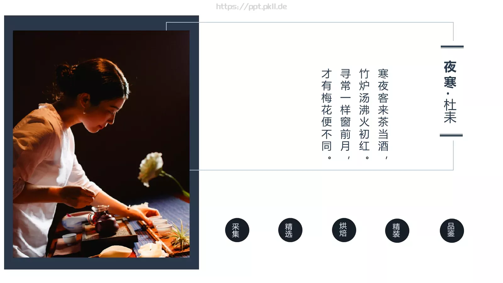 茶文化介绍PPT模板 第 6 页预览图
