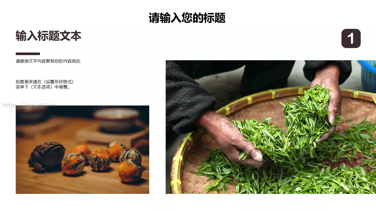 茶文化介绍PPT模板 第 16 页预览图