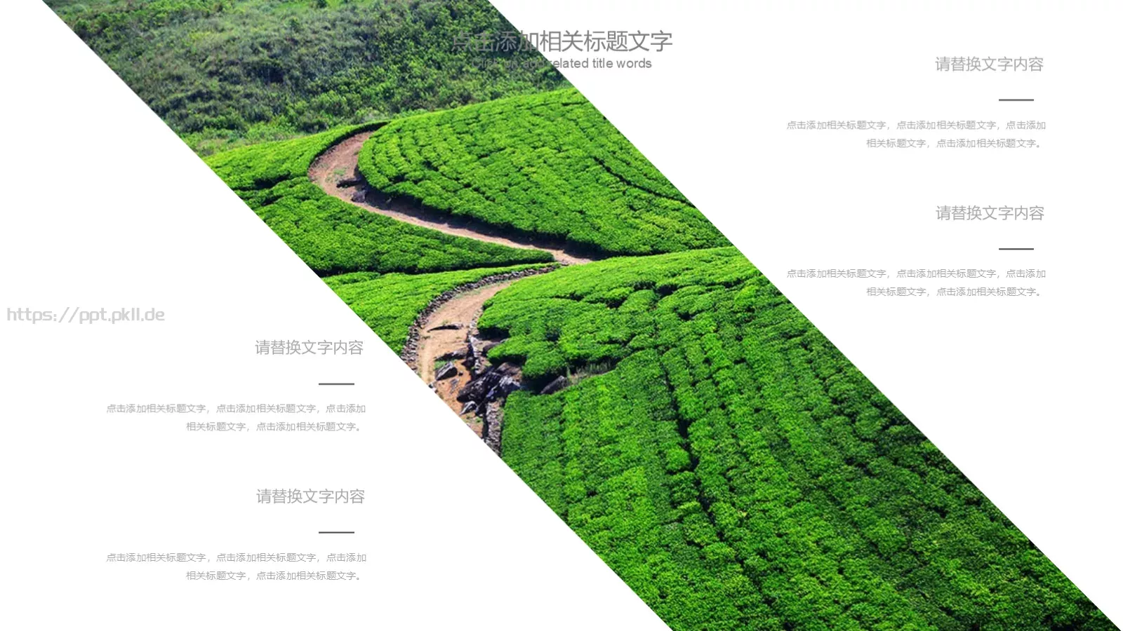 工作汇报通用PPT模板 第 4 页缩略图