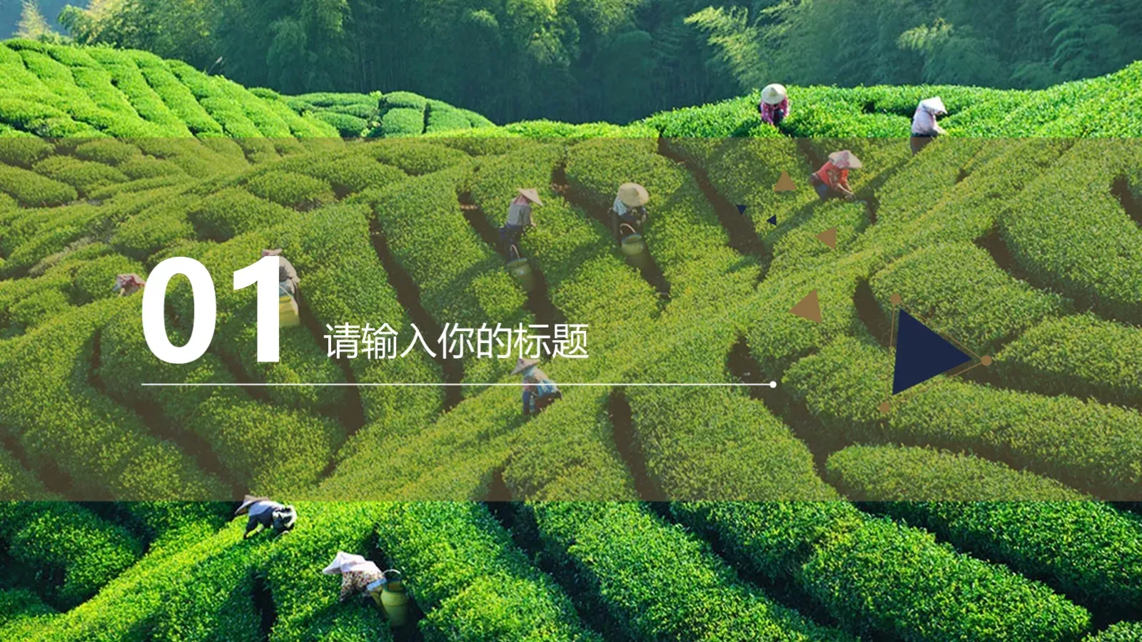 工作汇报通用PPT模板 第 3 页缩略图