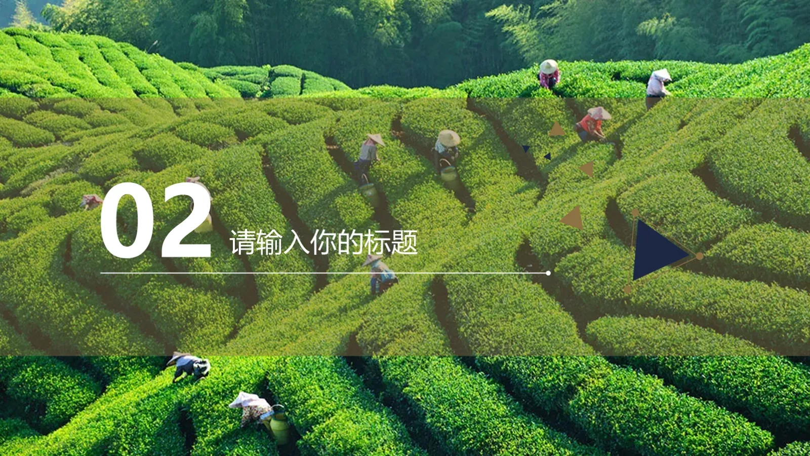 工作汇报通用PPT模板 第 8 页预览图
