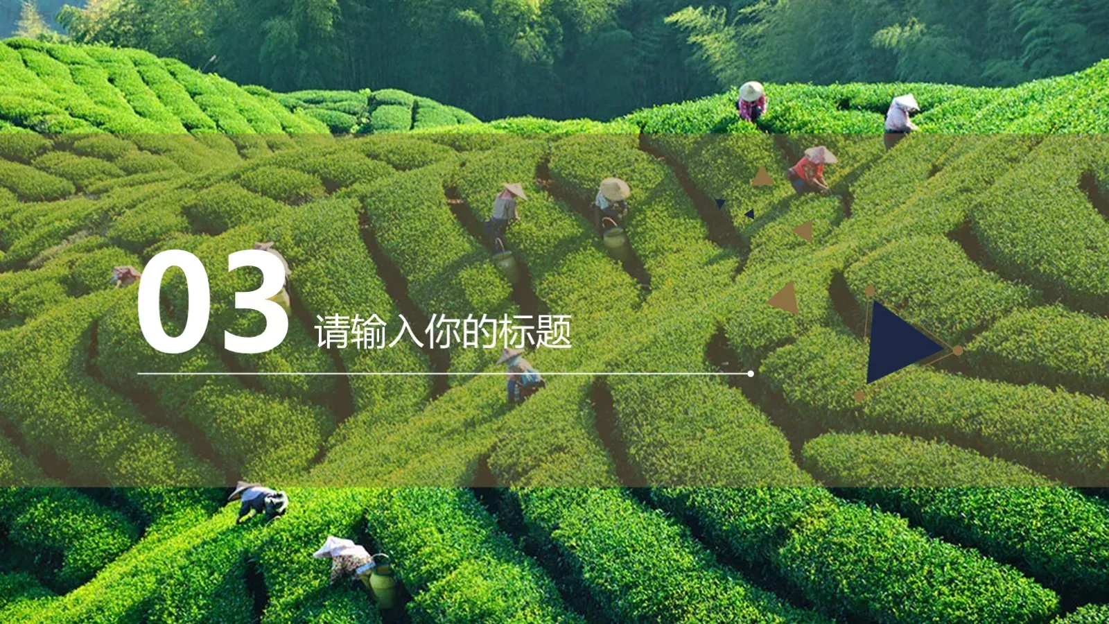 工作汇报通用PPT模板 第 13 页预览图