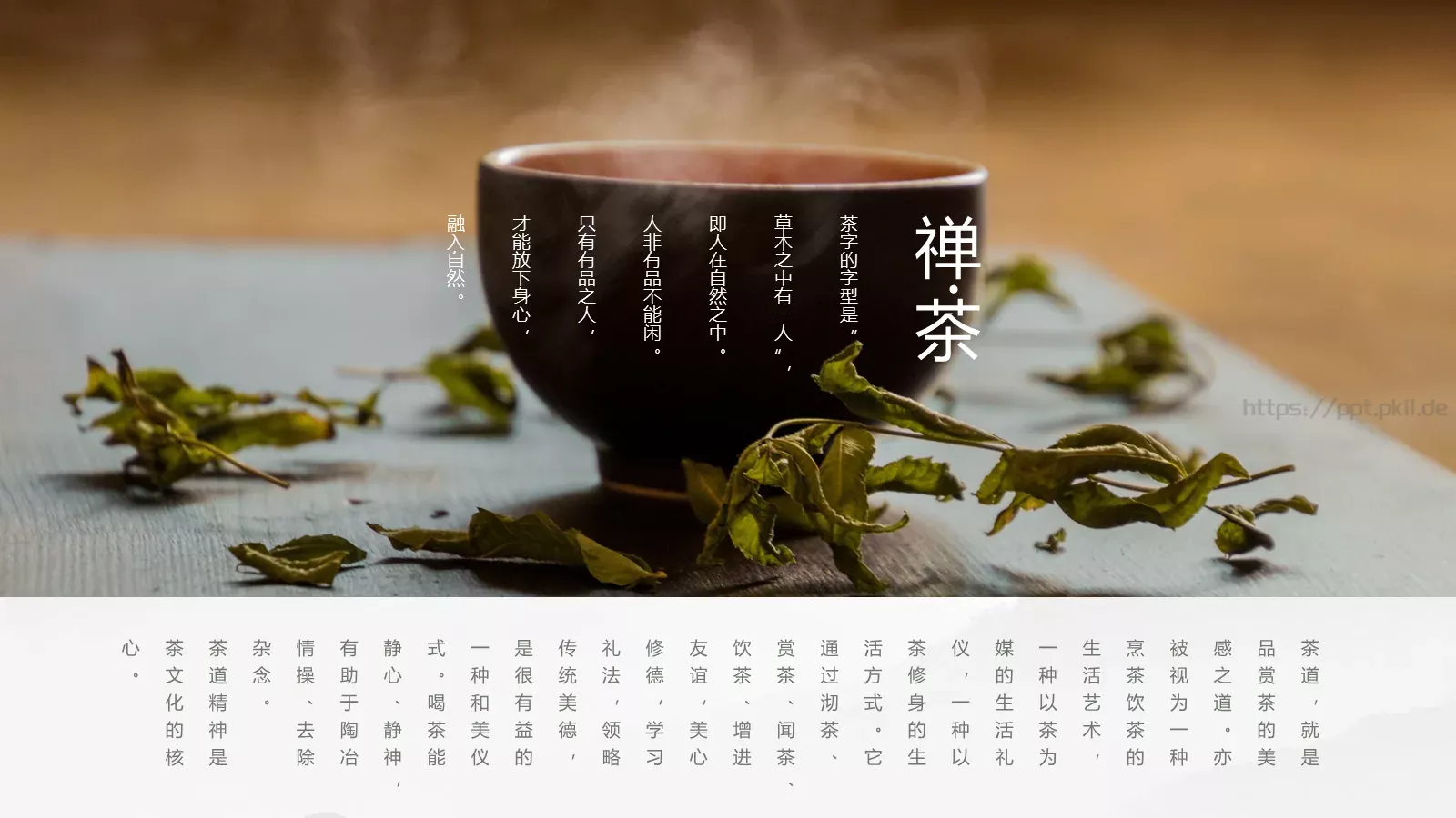 茶文化介绍PPT模板 第 2 页缩略图