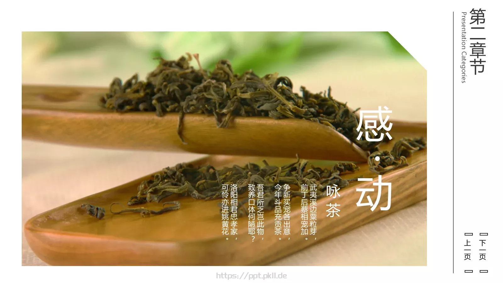 茶文化介绍PPT模板 第 10 页预览图