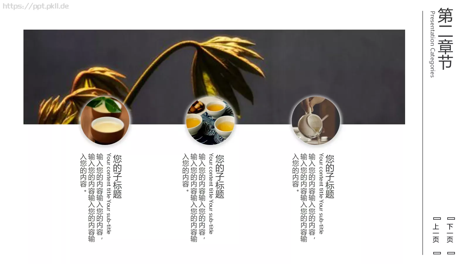 茶文化介绍PPT模板 第 12 页预览图