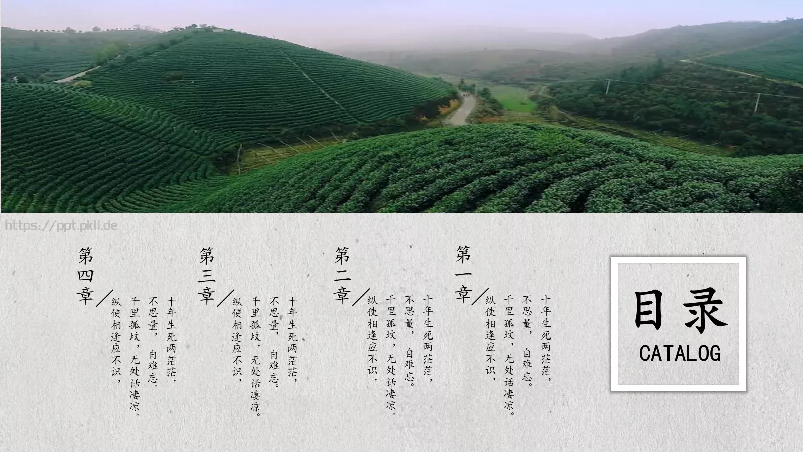 茶文化介绍PPT模板 第 2 页缩略图