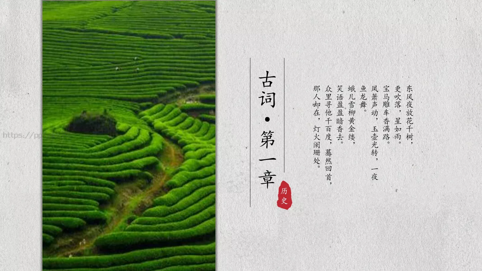 茶文化介绍PPT模板 第 3 页缩略图