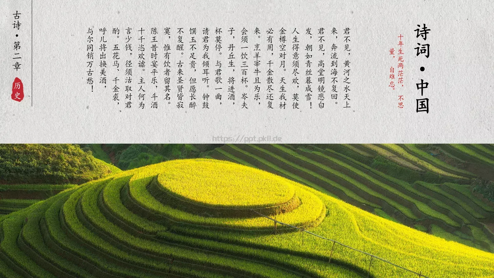 茶文化介绍PPT模板 第 9 页预览图