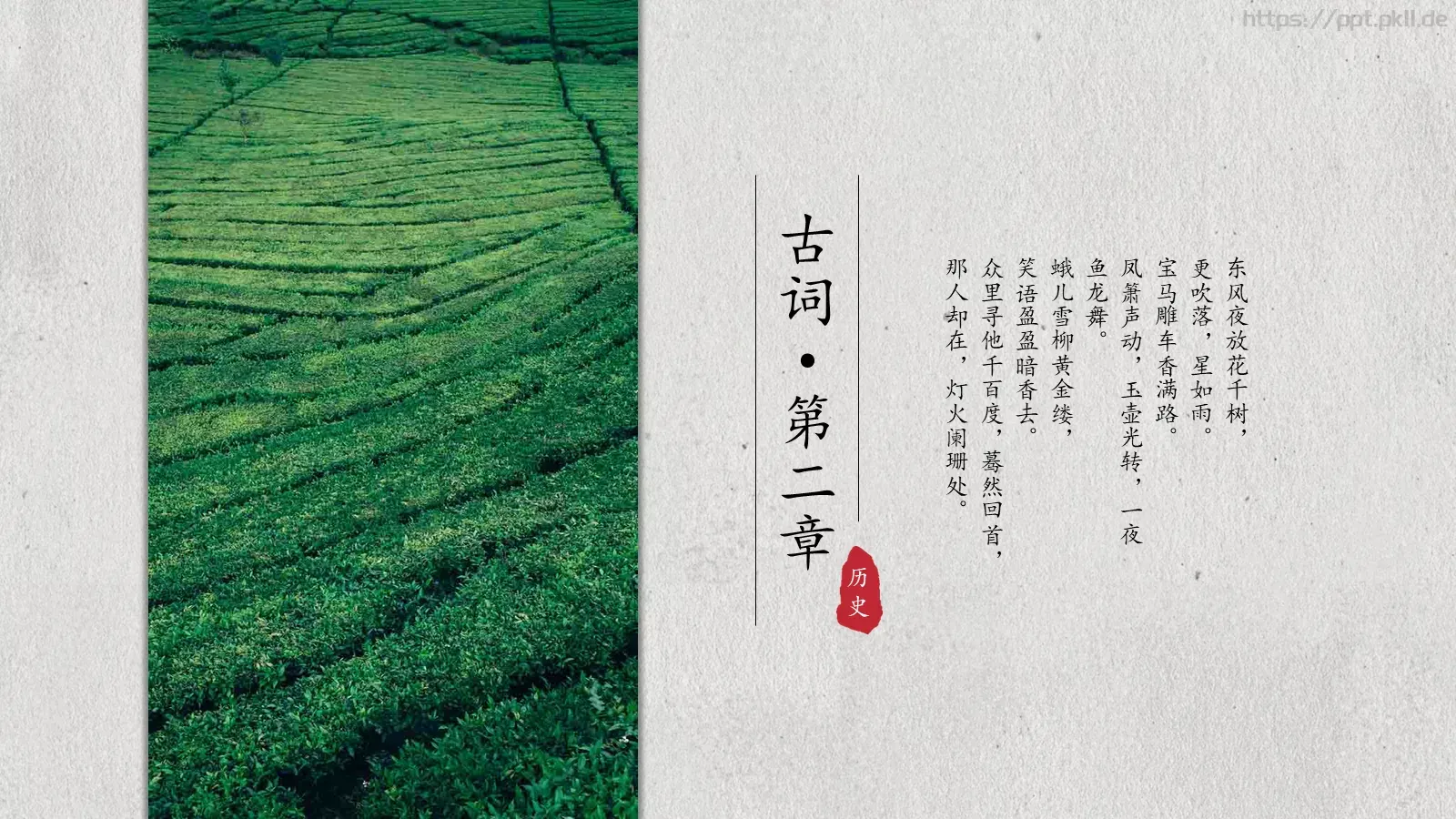 茶文化介绍PPT模板 第 8 页预览图