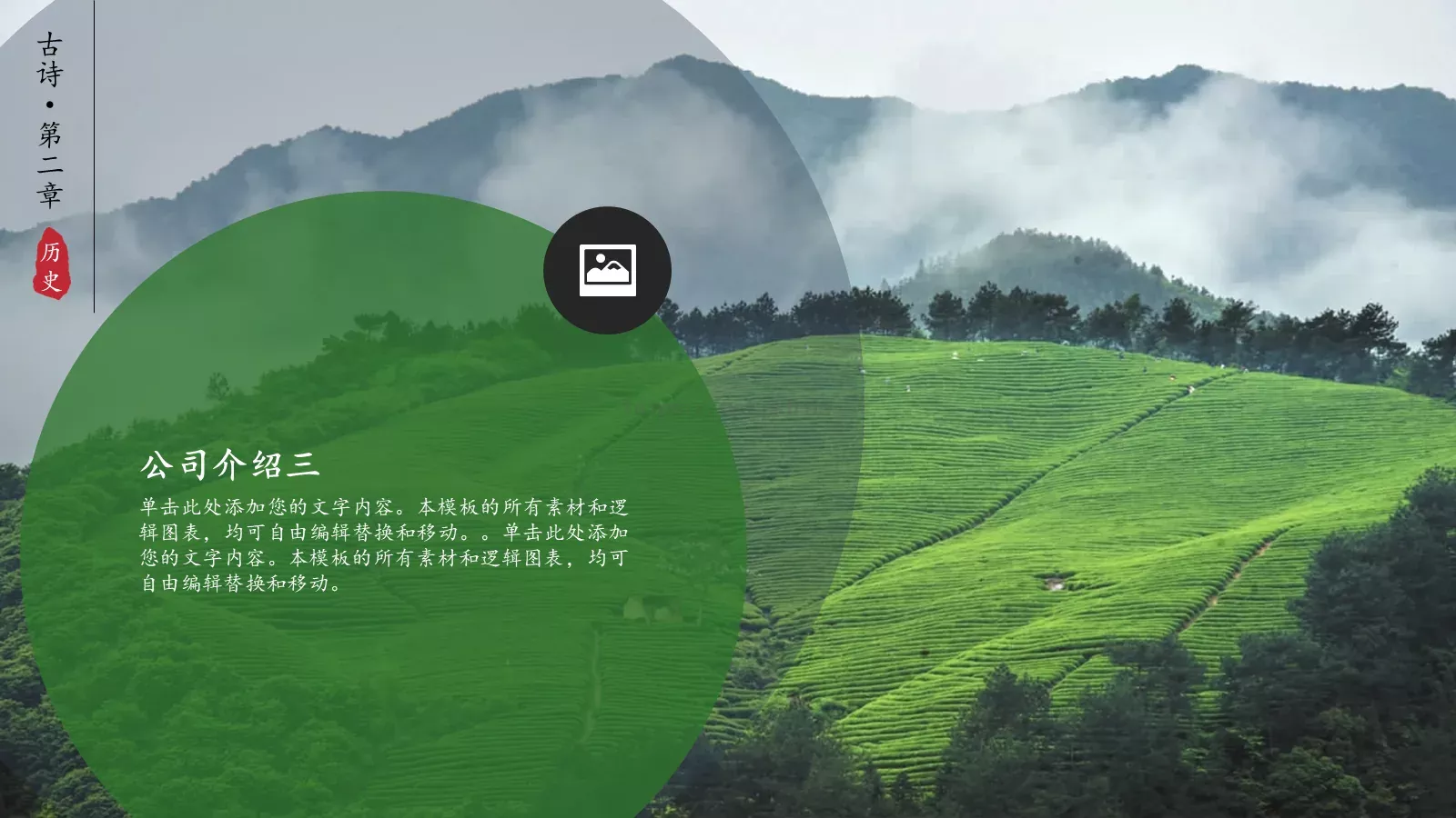 茶文化介绍PPT模板 第 12 页预览图