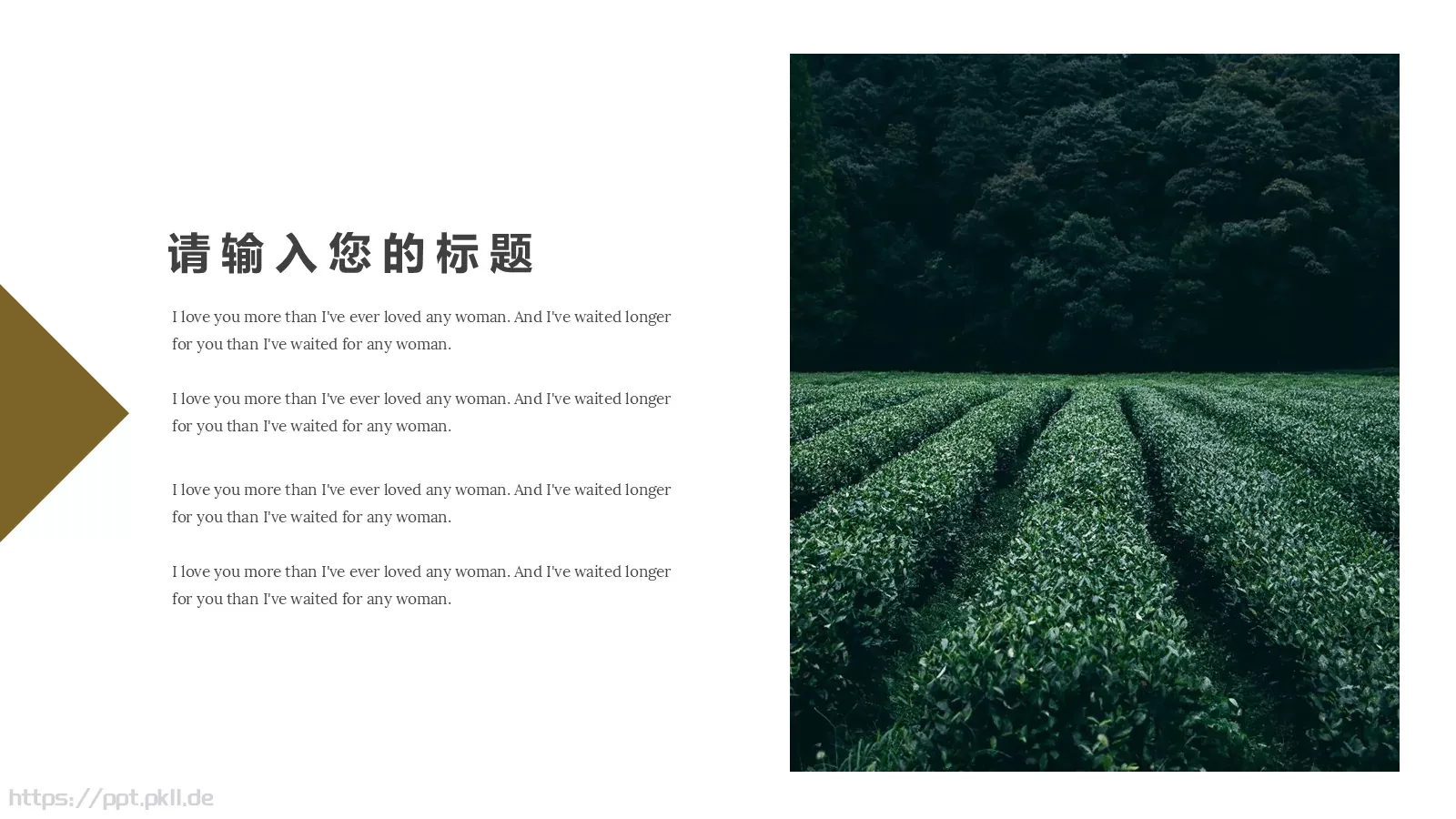 茶文化主题汇报PPT模板 第 3 页缩略图