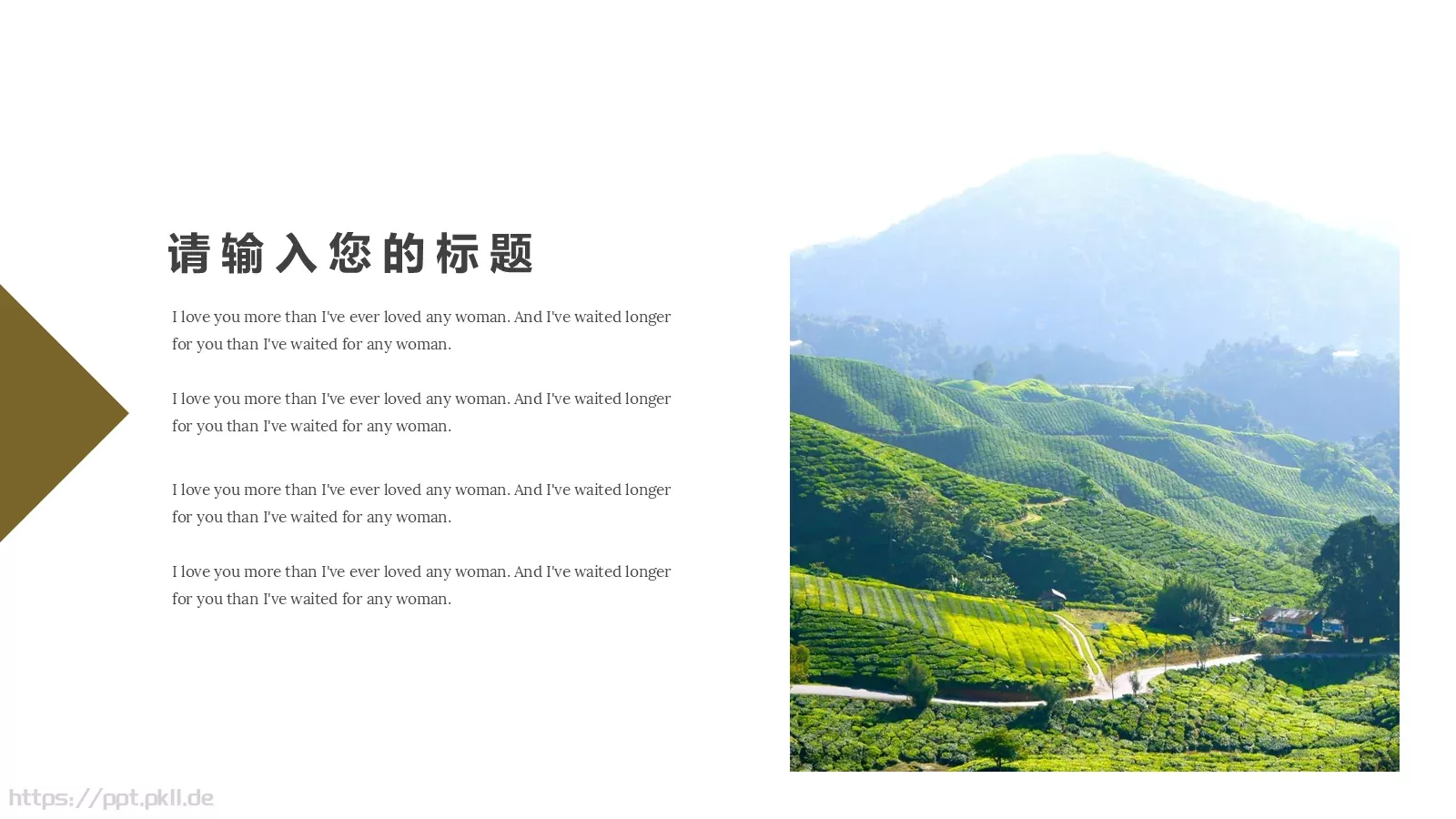 茶文化主题汇报PPT模板 第 14 页预览图
